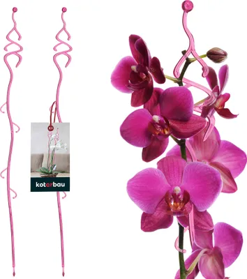 Produktbild von KOTARBAU® 2er Set Pflanzenstütze Rosa PVC 55 cm Tannenbaum Blumenstütze Rankhilfe Zimmerpflanzen Blumenstütze Garten Orchideenstab Stützstab Pflanzen dekorative Pflanzenhalter Zimmerpflanzen Rankstäbe