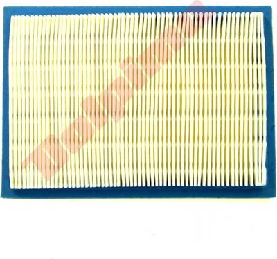 Produktbild von Luftfilter Für Briggs & Stratton ( 397795 , 395027 ) 165X114X19