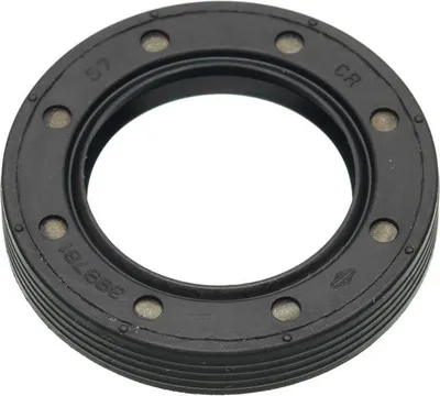 Produktbild von Wellendichtung - unten Briggs&Stratton Quan