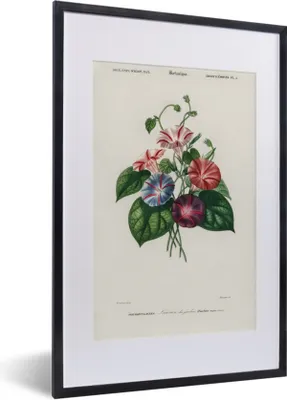Produktbild von MuchoWow® MuchoWow® Gerahmtes Poster Blumen - Vintage - Blatt 40x60 cm - Poster mit zchwarzem Bilderrahmen - Poster in Rahmen