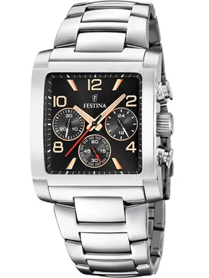 Obrázek produktu pro Stříbrné hodinky Festina F20652-4