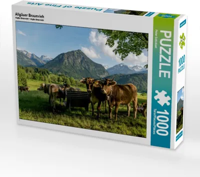 Produktbild von Calvendo Allgäuer Braunvieh 1000 Teile Puzzle quer 640x480mm, Schickert Peter; 7392439