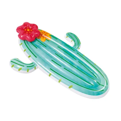 Image de INTEX cactus float