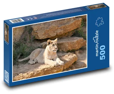 Produktbild von martinpuzzle - Puzzle 500 Teile - Tierwelt - Löwenjunge