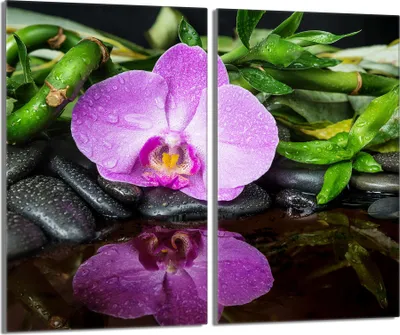 Immagine prodotto di Piastre copriforno 2 pezzi 30x52 Vetro copriforno in Vetroceramica, viola orchidea