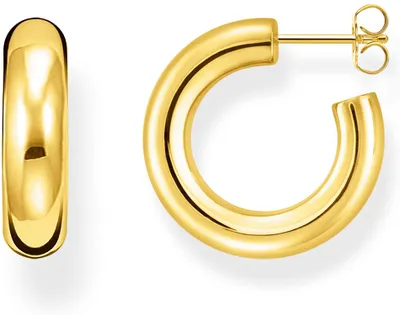 A pair of gold hoop earrings on a white background.