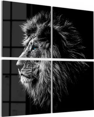 Produktbild von DEQORI Glasbild Echtglas 4x50x50 cm 'König der Tiere im Profil' Wandbilder XXL groß