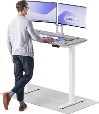 Zdjęcie produktu dla Desktronic HomePro biurko z elektryczną regulacją wysokości 120x60cm biały/szary z funkcją pamięci, technologią antykolizyjną, portami ładowania USB-A i USB-C