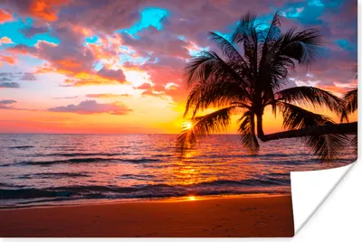 Produktbild von MuchoWow® Poster Palme - Sonnenuntergang - Strand - Meer - Horizont 60x40 cm - Schlafzimmerdekoration