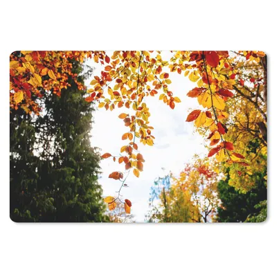Produktbild von MuchoWow® Schreibtischunterlage Herbst - Laub - Natur 60x40 cm - XXL Mauspad - Großes Mauspad