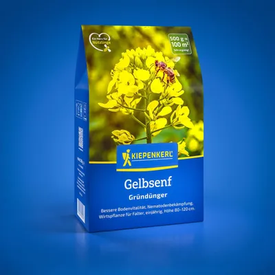 Produktbild von Kiepenkerl Gründüngung Gelbsenf Sinapis alba 0,5 kg