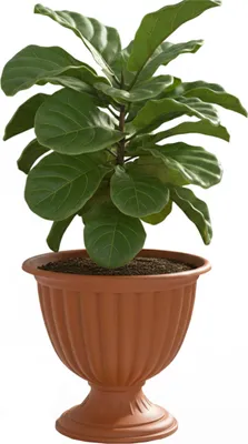 Immagine prodotto di Vaso su piedistallo rotondo Ø 36 cm H 36,5 cm terracotta plastica