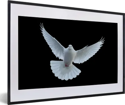 Produktbild von MuchoWow® Gerahmtes Poster Taube - Vogel - Schwarz - Weiß - Porträt 60x40 cm - Poster mit Schwarzem Bilderrahmen Wandposter Rahmen Foto Bilder - Schlafzimmer - Plakat in Rahmen - Drucken