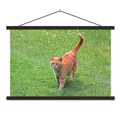 Produktbild von MuchoWow® Textilposter Katze - Rot - Katze - Mädchen - Kinder - Jungen - Kind 60x40 cm mit schwarzem Rahmen - Hölzernes