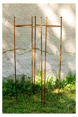 Produktbild von 2er Set halbrunde Staudenhalter, Höhe 90cm, Breite 45cm aus Roheisen/Rost