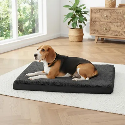 Immagine prodotto di materassino per cani belviona, materassino morbido e stabile con rivestimento lavabile, 91x69x8 cm, nero