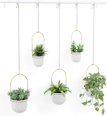 Obrázok produktu pre UMBRA závesný kvetináč TRIFLORA 5 LARGE biela / mosadz