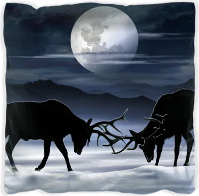 Produktbild von Wallario Premium Kissen, weiche Oberfläche, mit Motiv Elch im Schnee bei Mondschein - Silhouette am Abend, Größe: 40 x 40 cm, mit weißer Rückseite