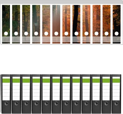 Produktbild von Wallario 12 Stück breite Ordner inkl. Klebeetiketten mit Motive Sonnenuntergang im Herbstwald -  Set mit Rückenschildern / Ordnerrücken Stickern