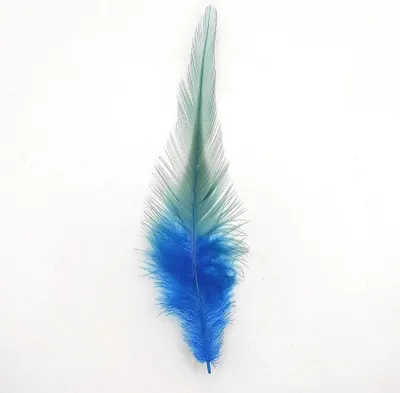 Immagine prodotto di Piume di gallo, circa 10-15 cm, 50 pezzi, turchese