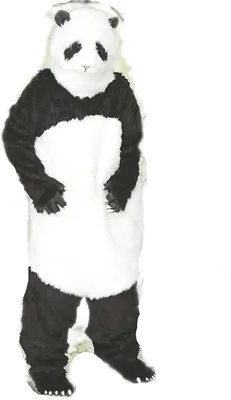 Produktbild von Panda-Kostüm für Erwachsene