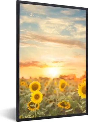 Produktbild von MuchoWow® Gerahmtes Poster Sonnenblume - Sonne - Blumen 60x90 cm - Poster mit Schwarzem Bilderrahmen Wandposter Rahmen Foto Bilder - Kunst