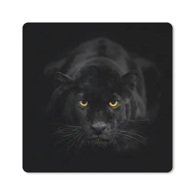 Produktbild von MuchoWow® Mauspad Mousepad Leopard - Augen - Schwarz 20x20 cm - Mousepads - Maus Mat - Pad - Mausunterlage - Desk Mat - Bureauartikeln