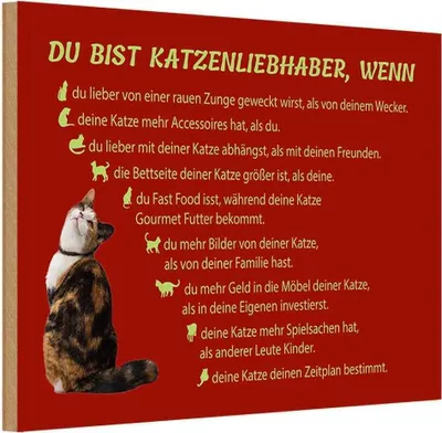 Produktbild von vianmo Holzschild 12x18 cm du bist Katzenliebhaber wenn Dekoration