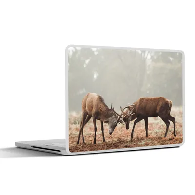 Produktbild von MuchoWow® Laptop Aufkleber Sticker Cover Hirsche - Wald - Gras 32.5x23.5 cm - Sticker für Laptop - Selbstklebend