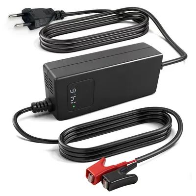 LiFePO4-Akkulader 14,6 V 5 A für 12 V (4S) mit Krokodilklemmen