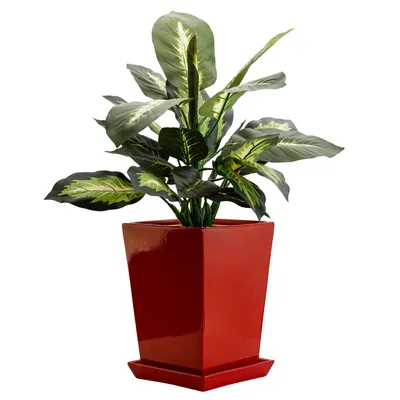 Obrázok produktu pre Kvetináč Podložka pod kvetináč štvorcová Rozmery (dxšxv): 29,5x29,5x34 cm Červená Moderné interiéry Glamour Trapéz