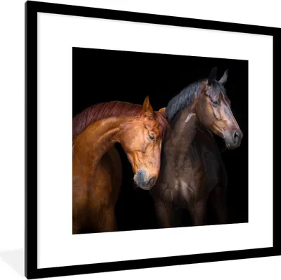 Produktbild von MuchoWow® Gerahmtes Poster Pferde - Tiere - Porträt - Braun 40x40 cm - Poster mit Schwarzem Bilderrahmen Wandposter Rahmen Foto Bilder - Poster - Plakat im Rahmen
