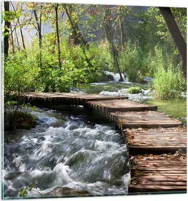 Produktbild von Bilder auf glas - Park natur grün bäume - 30x30cm - Glasbilder - Wandbilder - Kunstdruck - zum Aufhängen bereit - Wanddekoration aus Glas - Glas Bilder - Wandbild auf Glas - Einteilig - GAC30x30-0356