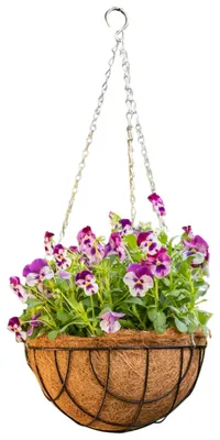 Zdjęcie produktu dla Esschert Design – wiszący kosz metalowy Ø 30 cm z łańcuchem
