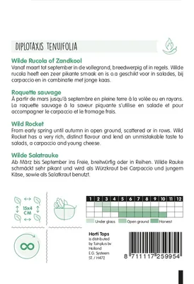 Produktbild von Salatrauke - Selvatica Diplotaxis Erucoides | Rucola- / Raukesamen von Hortitops