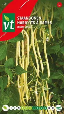 Obrázok produktu pre Fazuľové semienka Monte Gusto - cca 25 gr | VT_309