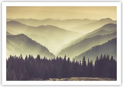 Produktbild von Poster - Poster ohne Rahmen - Berge Wald Natur - 100x70 cm - Wand Bild - Wanddeko - Wandbilder - Kunstposter - Wandposter - Bilder - Kunstdruck - Wanddekoration - Wandbild - P2XAA100x70-3820