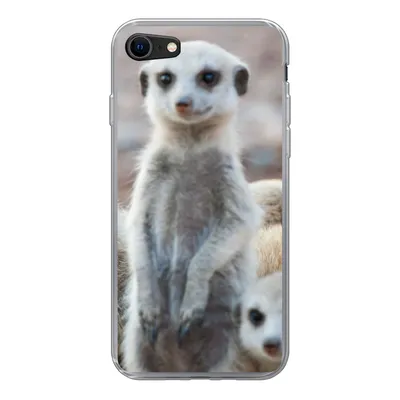 Produktbild von MuchoWow® Handyhülle Schutzhülle Hülle für iPhone SE 2020 Neugierige Erdmännchen Silikon Softcase Handy Hülle - Kartenbesitzer