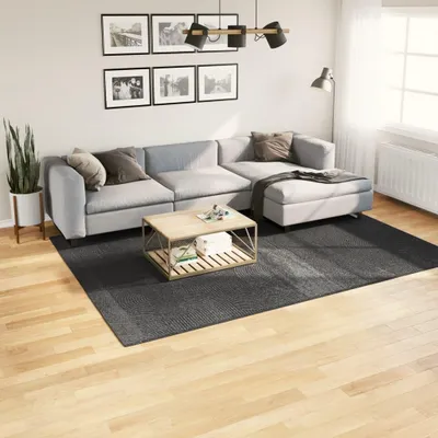 Obrázek produktu pro Koberec IZA s krátkým vlasem Scandi styl antracit 200x280 cm