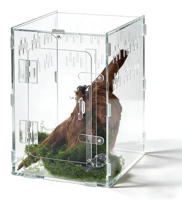 Imagen del producto de Terrario de acrílico para arañas, dimensiones 20 x 20 x 30 cm