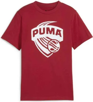 Obrázek produktu pro Tričko Puma 630822-13 pro Chlapecké