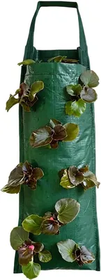 Immagine prodotto di Sacchetto per piante di fragole - Sacchetti per la coltivazione in giardino - Per la coltivazione di piante - Tessuto traspirante - 65 x 25 cm - Nero