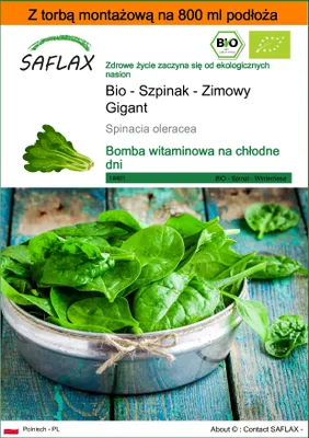 Zdjęcie produktu dla SAFLAX - Garden in the bag - Bio - Szpinak - Zimowy Gigant - 250 Nasiona - Z podłożem uprawowym w praktycznej, samorozkładającej się torbie - Spinacia oleracea