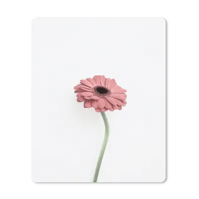 Produktbild von MuchoWow® Mauspad Mousepad Blumen - Rosa - Natur - Weiß - Pflanze 19x23 cm - Mousepads - Maus Mat - Pad - Mausunterlage - Mauspads - Spielen
