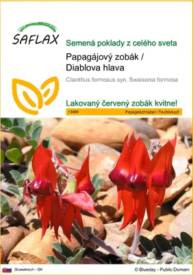 Obrázok produktu pre SAFLAX - Papagájový zobák / Diablova hlava - Clianthus formosus syn. Swaisonia formosa - 20 Semená