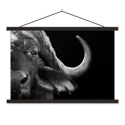 Produktbild von MuchoWow® Textilposter Büffel - Tiere - Schwarz - Weiß 150x100 cm mit schwarzem Rahmen - Schlafzimmer