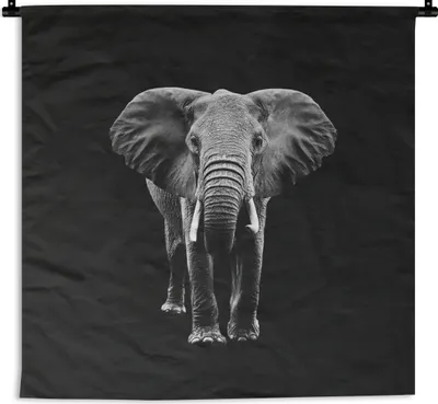 Produktbild von MuchoWow® Wandteppich Wandbehang Elefant - Zähne - Tiere - Schwarz - Weiß 150x150 cm Tapisserie Dekoration Wandtuch - Wohnaccessoires - Modernes