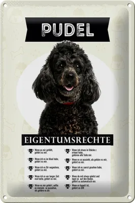 Produktbild von Blechschild Spruch 20x30cm Pudel Eigentumsrechte