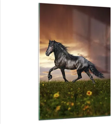 Produktbild von Bilder auf glas - Einteilig - Pferd Tier Wiese - 80x120cm - Glasbilder - Wandbilder - Bilder - zum Aufhängen bereit - Wanddekoration aus Glas - Glas Bilder - Wandbild auf Glas - GPA80x120-2608