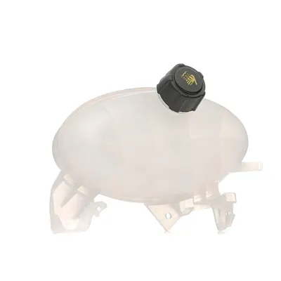 Obrázek produktu pro Vyrovnávací nádrž, chladicí kapalina THERMOTEC DBR008TT